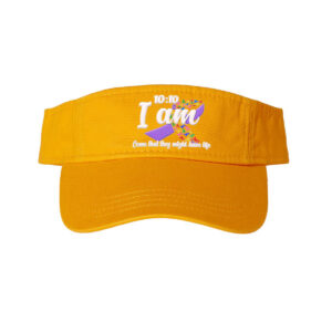 "10-10" GTFL Visor